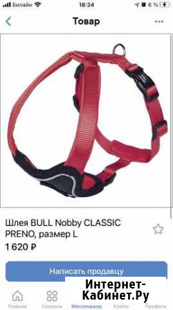 Шлейка для собаки Мурманск - изображение 1