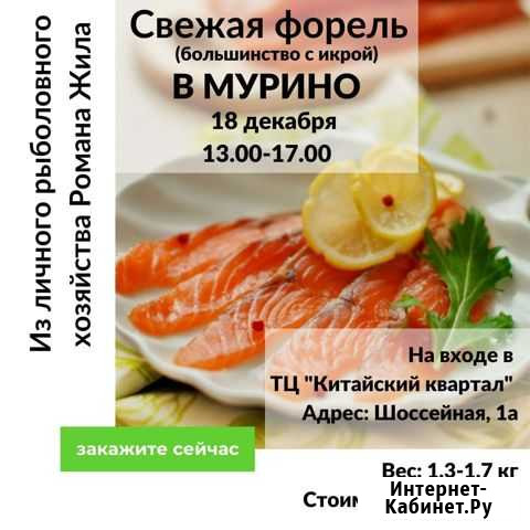 Свежая рыба форель Бугры - изображение 1