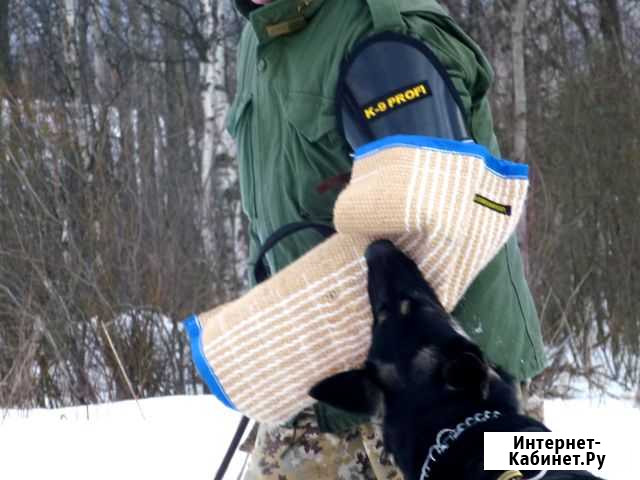 Дрессировка собак (Окд, Зкс ) Групповые занятия Кировск - изображение 1