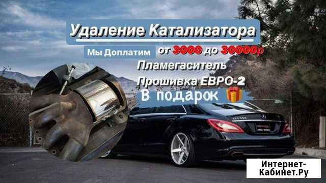 Удаление Катализатора с доплатой Омск - изображение 1