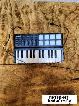 Midi клавиатура mini Panda Иркутск - изображение 1