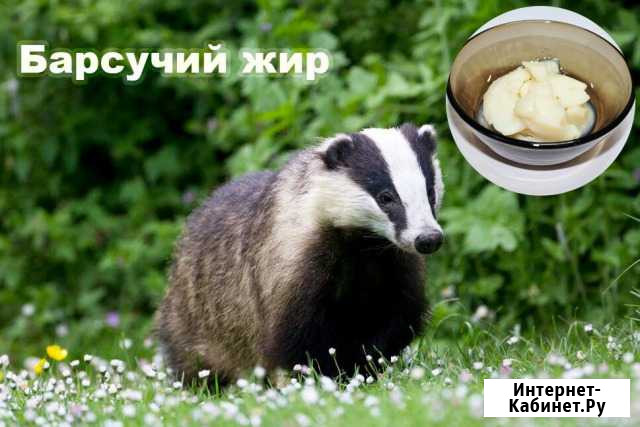 Барсучий жир Псков - изображение 1