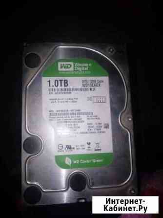 Жесткий диск Western Digital 1 тб Wd Шелехов