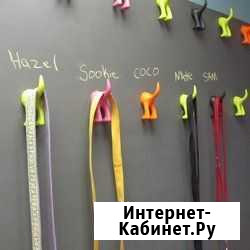 Ремонт оборудования для Грумминга Сургут - изображение 1