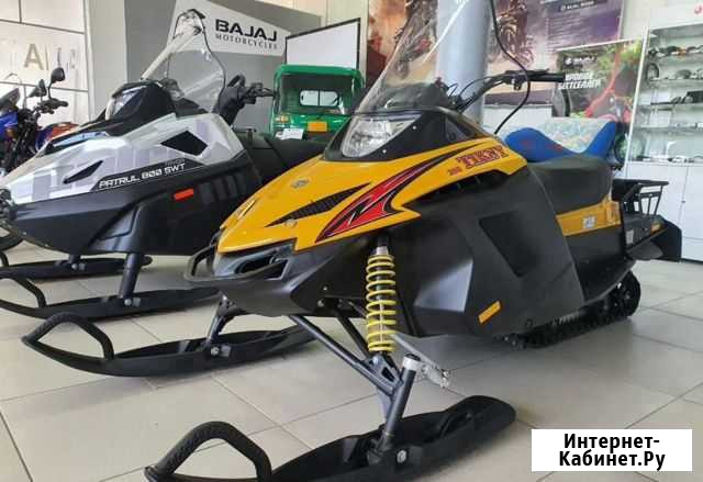 Снегоход Тикси (Tiksy) 250 Lux Печора - изображение 1