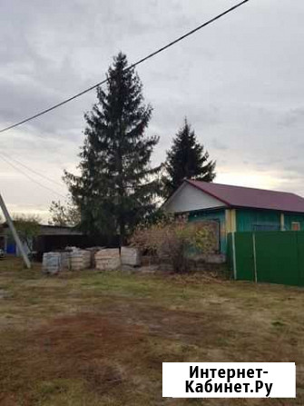 Продам ель Городище - изображение 1