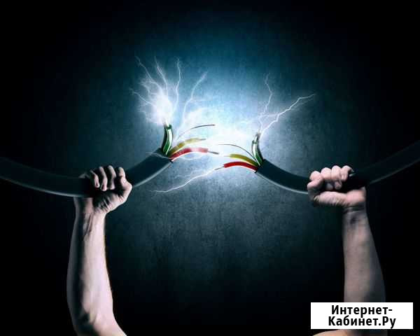 Электрик Донской - изображение 1
