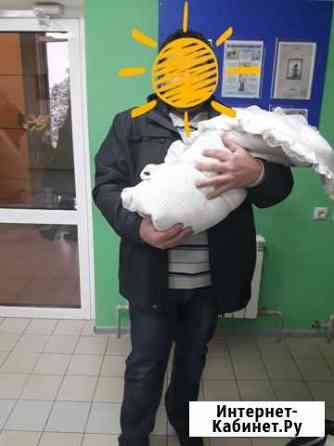 Одеяло Белгород