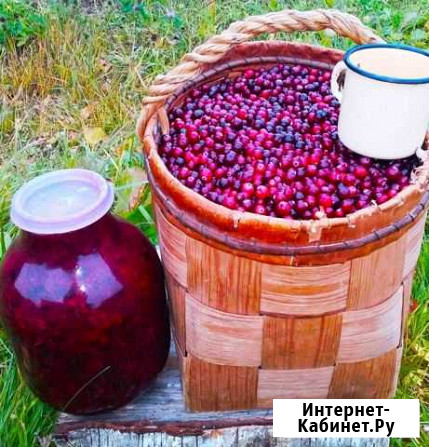 Грибы ягоды Плесецк - изображение 1