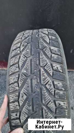 Tigar 215/55 R17 Саратов - изображение 1