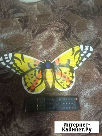 Деревянное панно бабочка Хабаровск - изображение 1