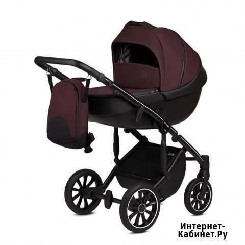 Коляска Anex M/Type Sp 2 в 1 Пенза - изображение 1