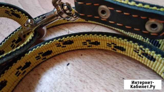 Поводок Феодосия - изображение 1