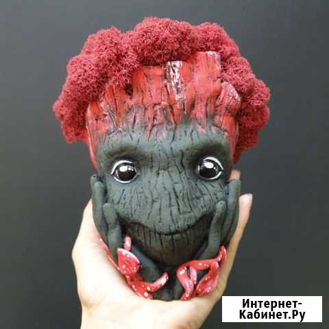 Груняша (Groot) Белгород - изображение 1