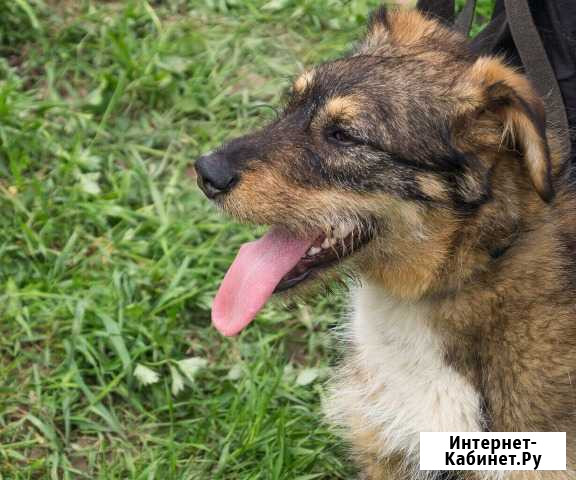 Марта Одинцово - изображение 1