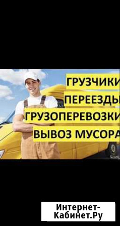 Грузчики, переезды, вывоз мусора, грузоперевозки Новочеркасск - изображение 1