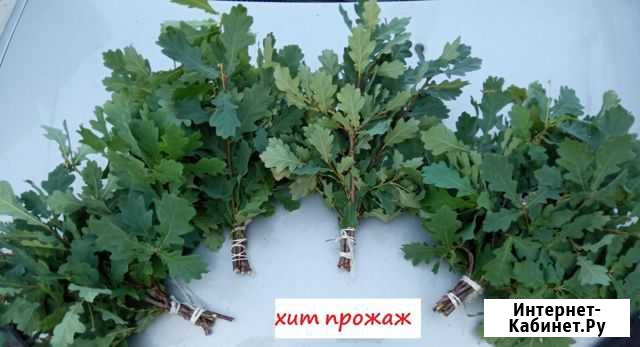 Веники для бани оптом из Челябинска доставка по РФ Волжск - изображение 1