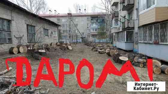 Отдам бесплатно на дрова чурки. ветки. Самовывоз Хабаровск