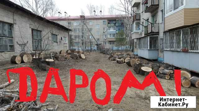 Отдам бесплатно на дрова чурки. ветки. Самовывоз Хабаровск - изображение 1