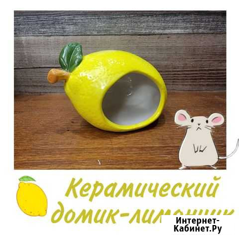 Домик для грызуна Каменск-Шахтинский - изображение 1
