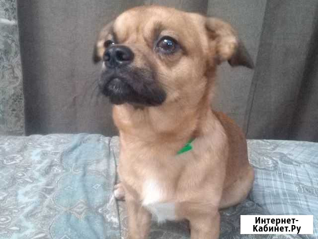 Вязка Екатеринбург - изображение 1