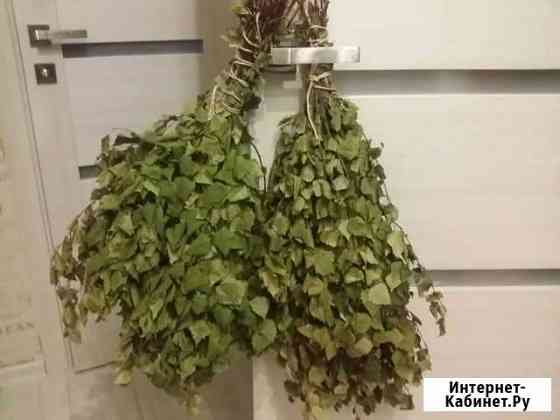 Веник Калининград