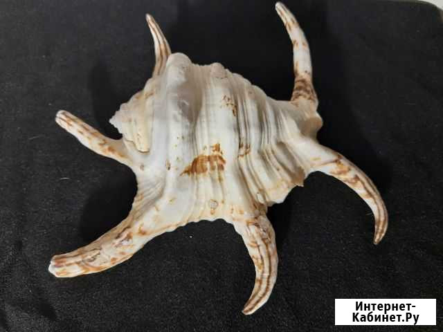 Эксклюзивные вещи Симферополь - изображение 1