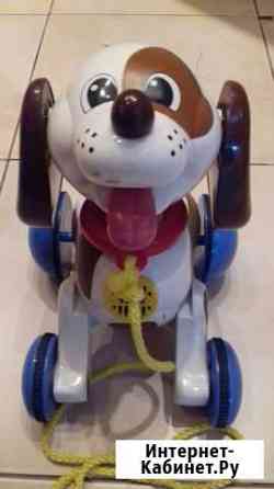 Игрушка интерактивная Собака Ставрополь