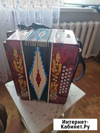 Гармонь заказная Кировская Нелидово - изображение 1