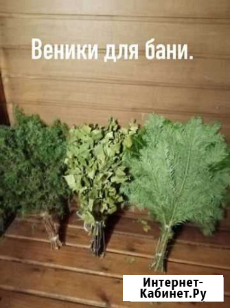 Веники для бани Сыктывкар - изображение 1
