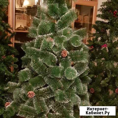 Сосна Железногорск - изображение 1