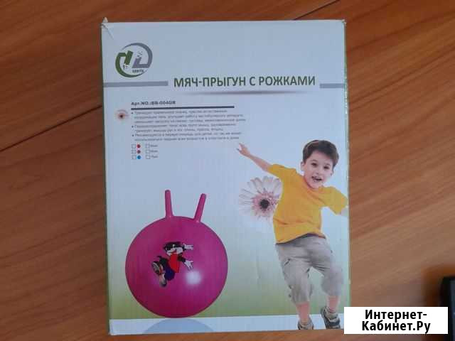 Мяч гимнастический Омск - изображение 1