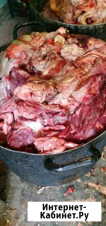 Мясо для собак Симферополь - изображение 1