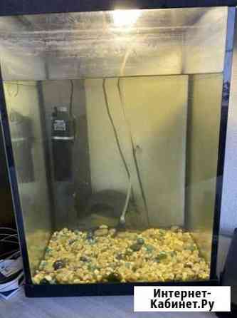 Аквариум Нижний Новгород