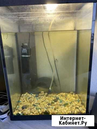 Аквариум Нижний Новгород - изображение 1