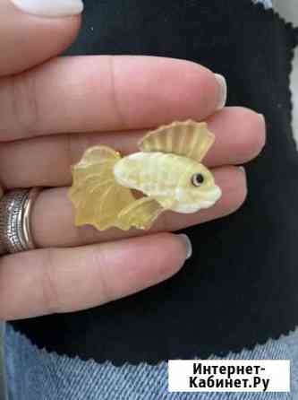 Броши из янтаря фигуры Калининград