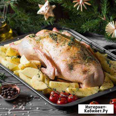 Мясо утки Димитровград