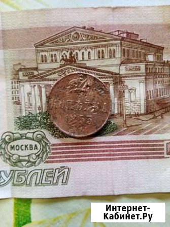 Копейка Николая1 Заводоуковск - изображение 1