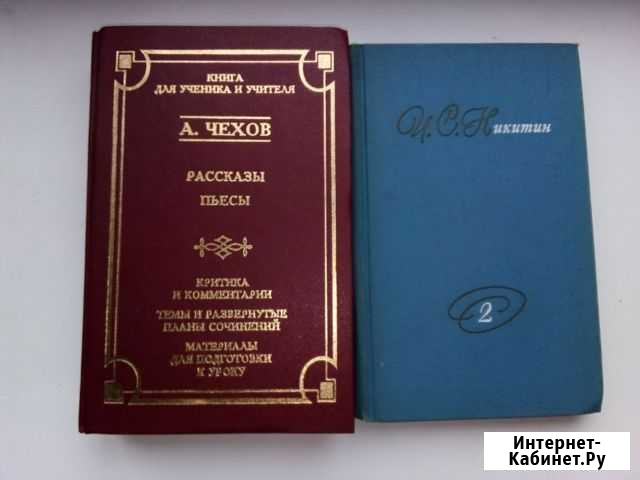 А.Чехов и И.С.Никитин Рязань - изображение 1