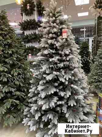 Ель Императрица в снегу 230см Краснодар