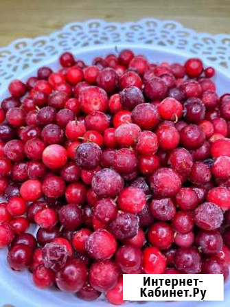 Брусника Свежая Замороженная Курган - изображение 1