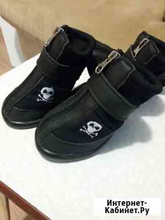 Ботинки для собак Тула