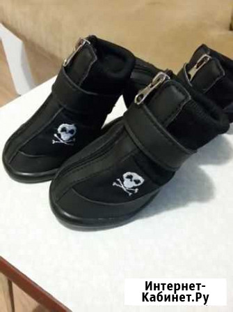 Ботинки для собак Тула - изображение 1