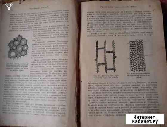Справочник садовода 1892г Сызрань