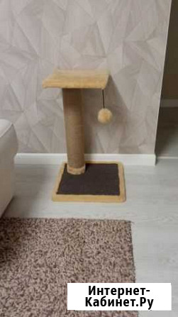 Когтеточка Томск - изображение 1