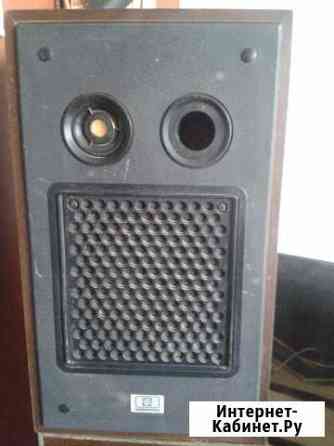 Акустическая система 10ас-209 Ростов-на-Дону