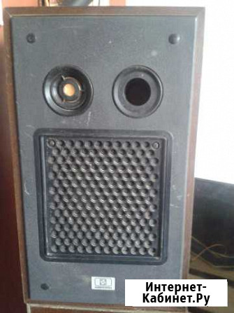 Акустическая система 10ас-209 Ростов-на-Дону - изображение 1