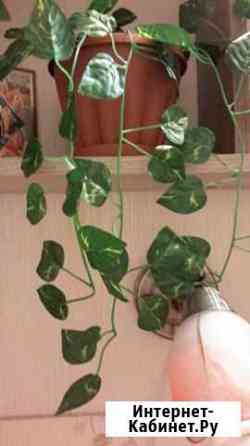 Растения искуственные лианы Уфа