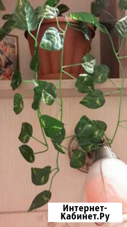 Растения искуственные лианы Уфа - изображение 1