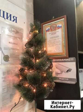 Ель искуственная елка на новый год Чебоксары - изображение 1